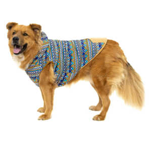 Vibrant Life Fair Isle Dog Hooded Jacket, Blue, XL(1)